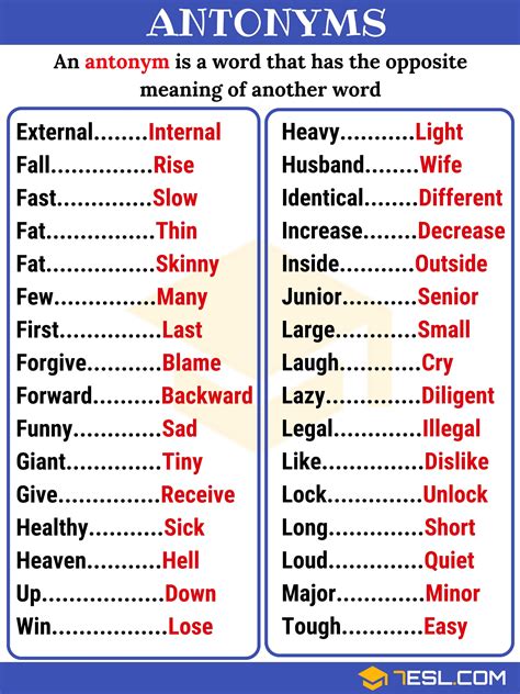 and antonyms|synonyms and antonyms examples.